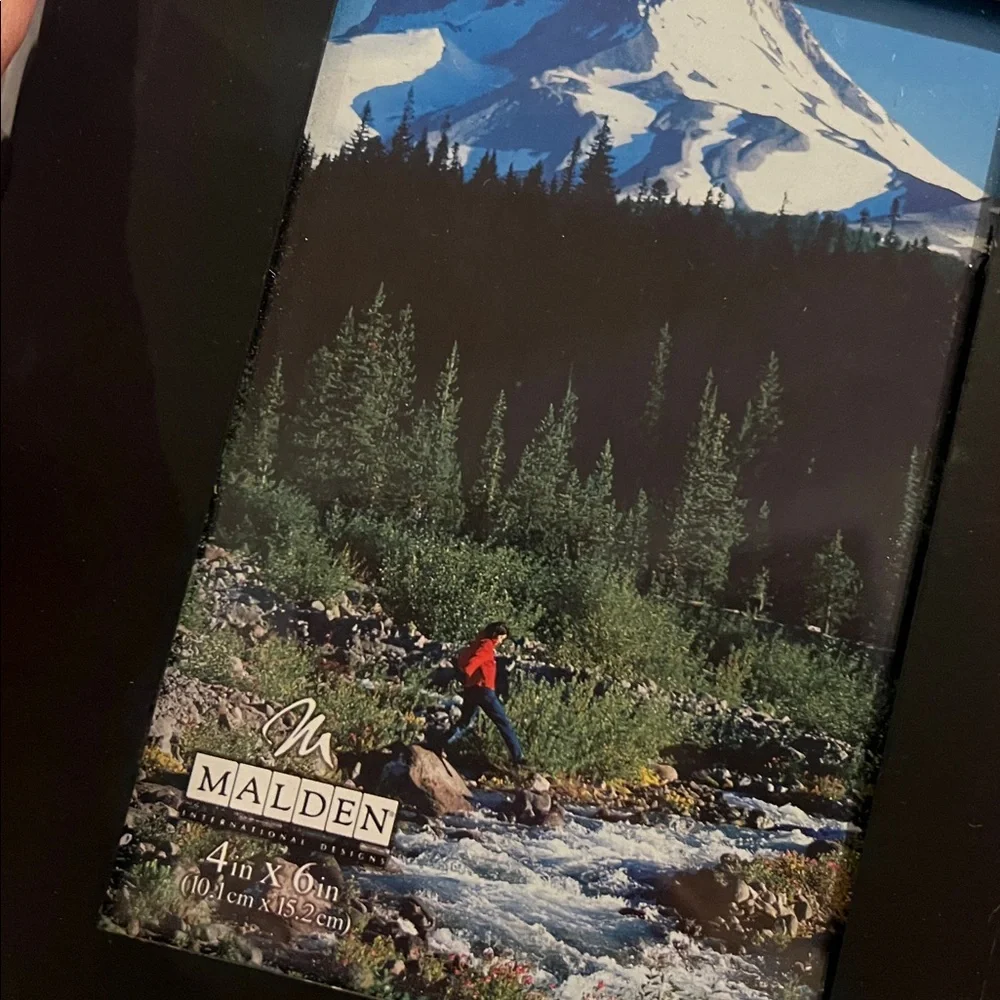 Malden Black Bear Woods Picture Photo Frame 4X6 - Picture 3 of 4